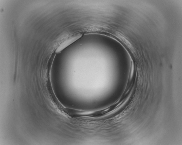 X0000089670485200706211158
