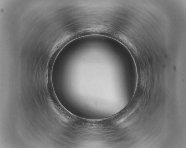X0000089670486200706211158