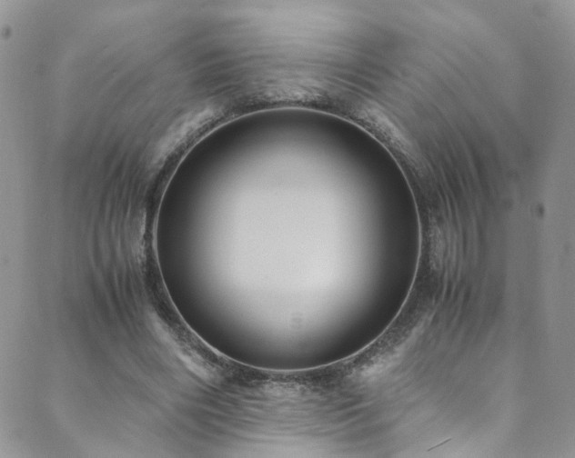 X0000089670490200706211158