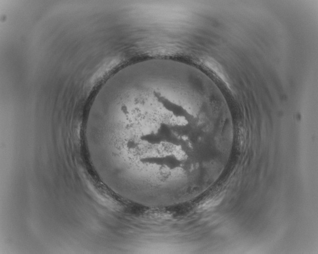 X0000089670491200706211158