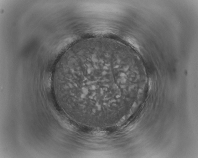 X0000089670495200706211157