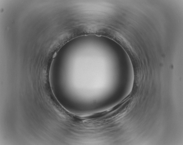 X0000089670497200706211157