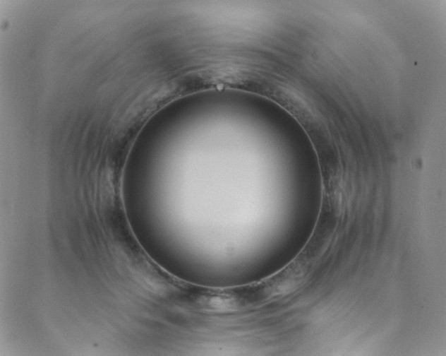 X0000089670506200706211157