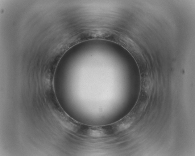 X0000089670510200706211157