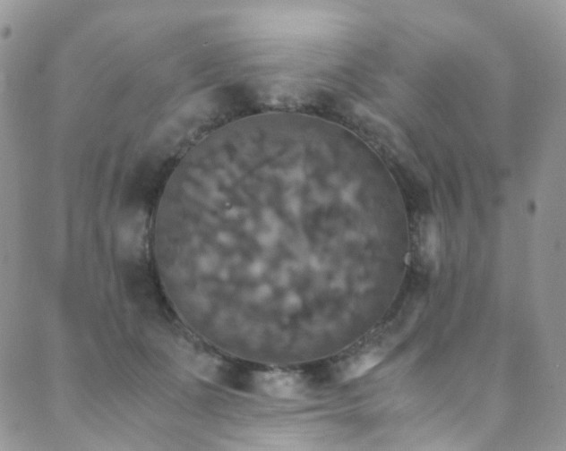 X0000089670511200706211157