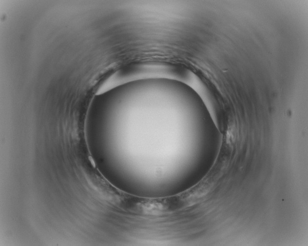 X0000089670512200706211157