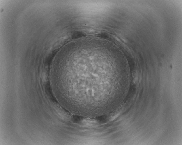 X0000089670515200706211157
