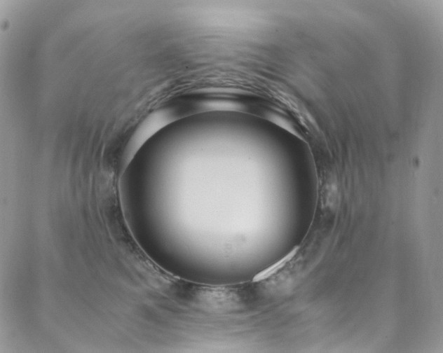 X0000089670521200706211157
