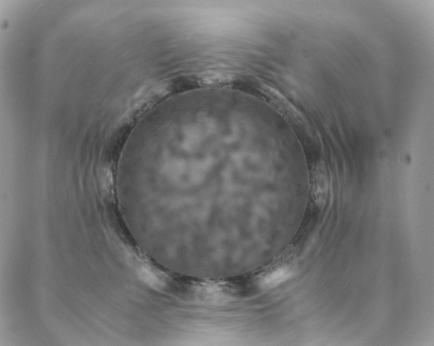 X0000089670523200706211157