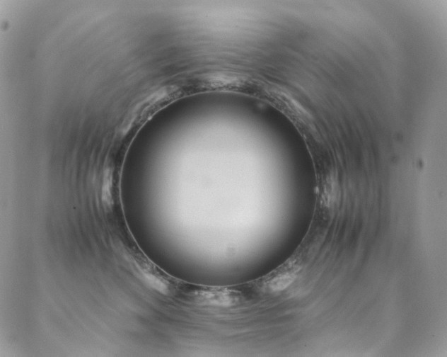 X0000089670524200706211157