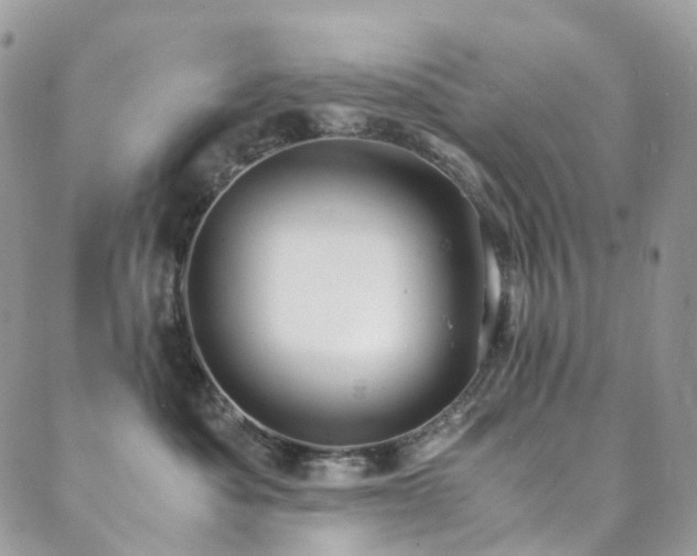 X0000089670525200706211157