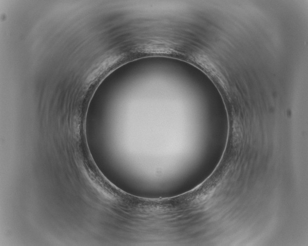 X0000089670533200706211156