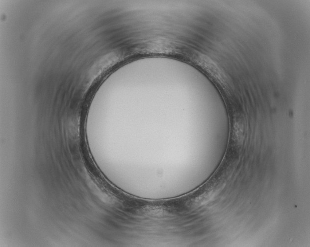 X0000089670534200706211156