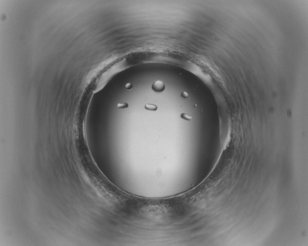 X0000089670536200706211156