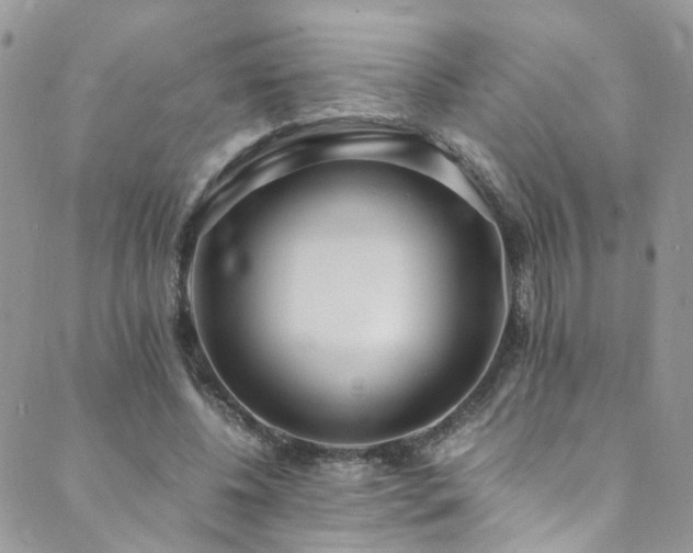 X0000089670540200706211156
