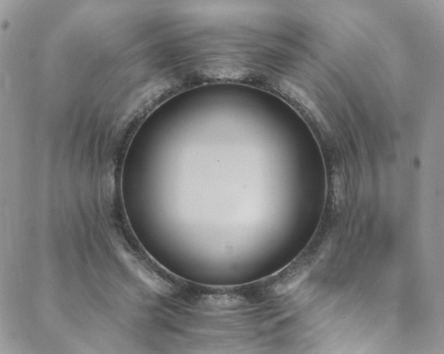 X0000089670541200706211156