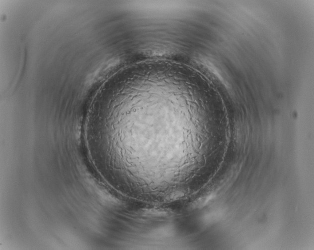 X0000089670545200706211156