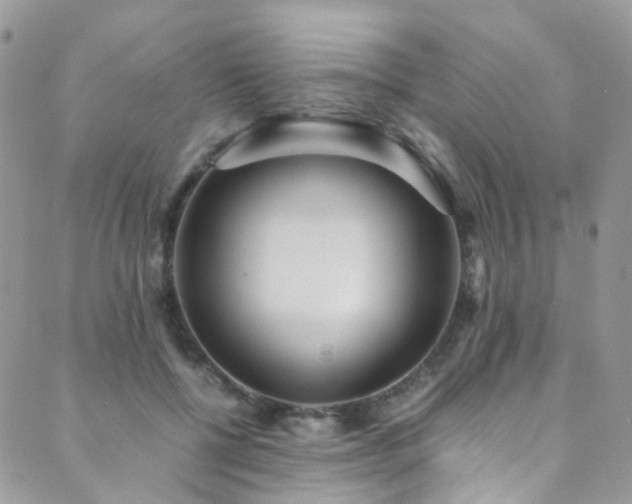 X0000089670552200706211157