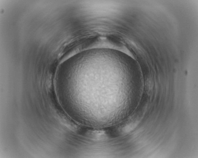 X0000089670554200706211157