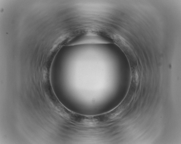 X0000089670556200706211157