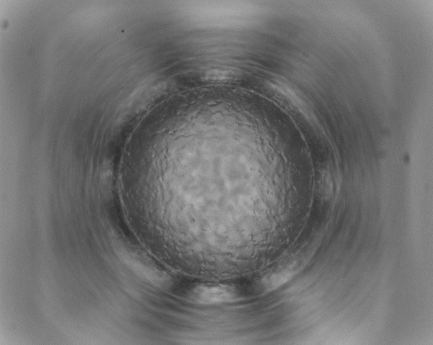 X0000089670557200706211157