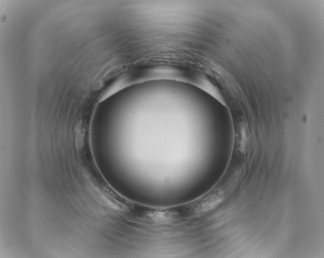 X0000089670558200706211157