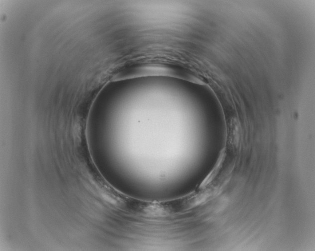 X0000089670562200706211157
