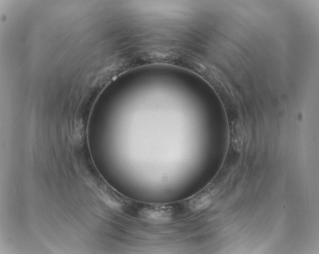 X0000089670563200706211157