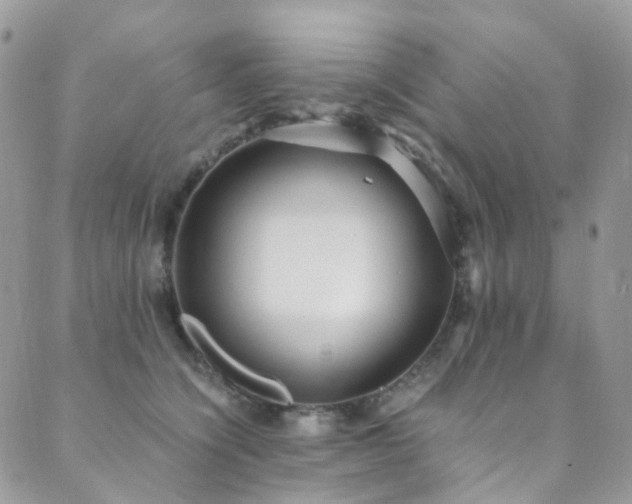 X0000089670564200706211157
