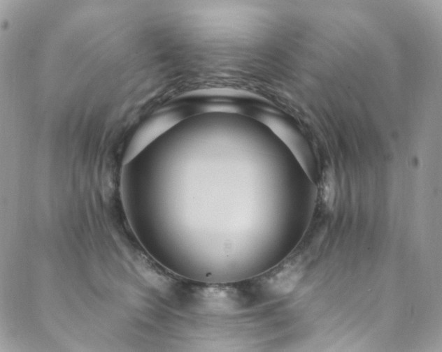 X0000089670566200706211157