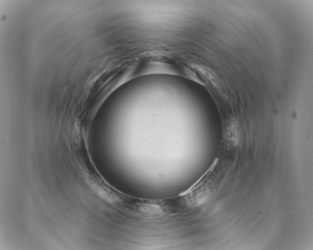X0000089670572200706211157