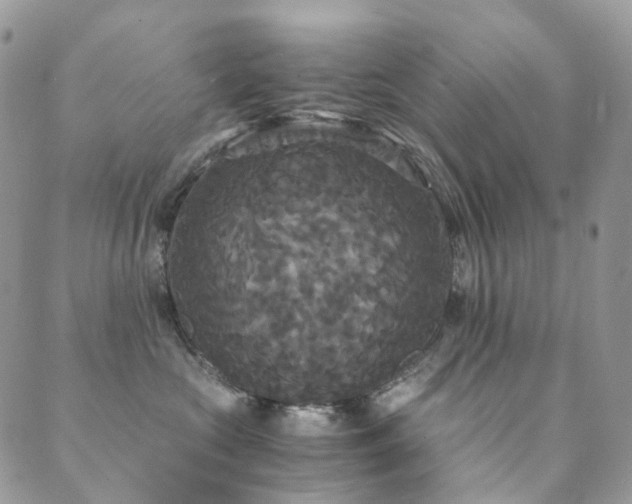 X0000089670573200706211157