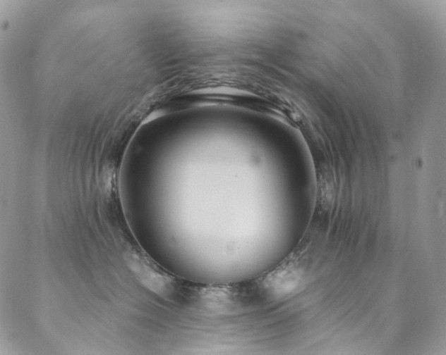 X0000089670574200706211157
