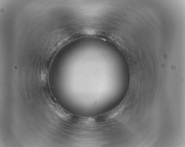 X0000089670576200706211157