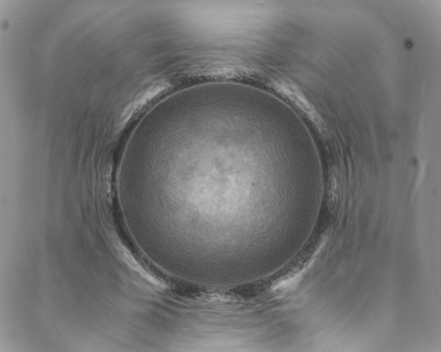 X0000089670585200706211156