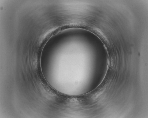X0000089670588200706211156