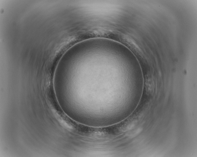X0000089670593200706211156