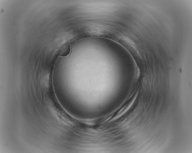 X0000089670596200706211156
