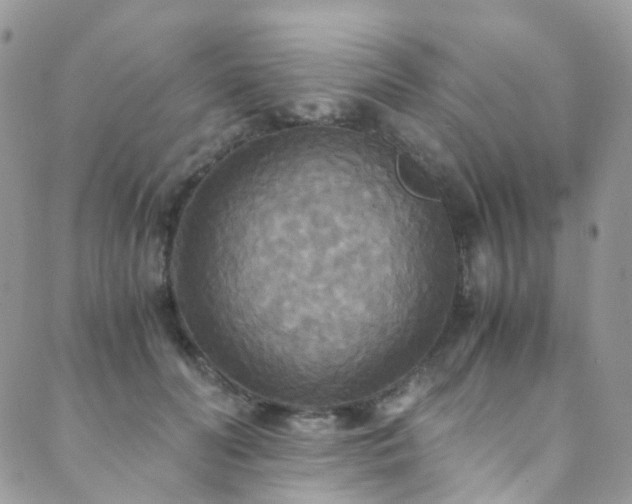 X0000089670606200706211156