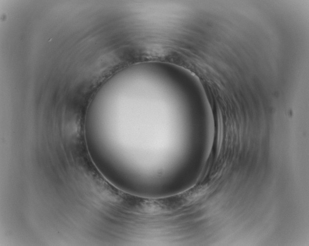 X0000089670608200706211156