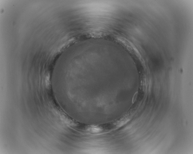 X0000089670610200706211156
