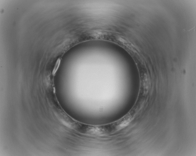 X0000089670611200706211156