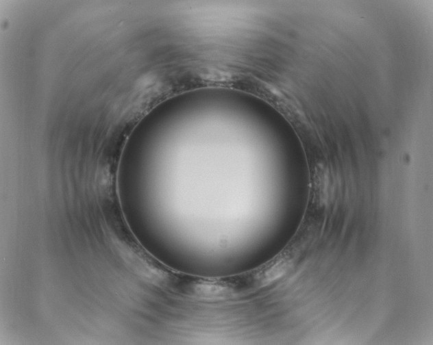 X0000089670614200706211156