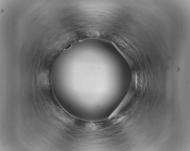 X0000089670616200706211156