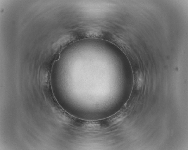 X0000089670619200706211155