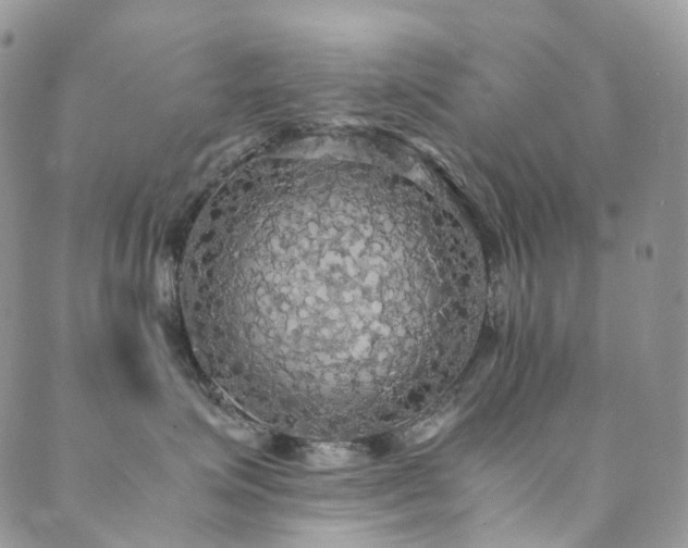X0000089670623200706211155