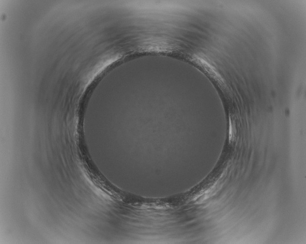 X0000089670627200706211155