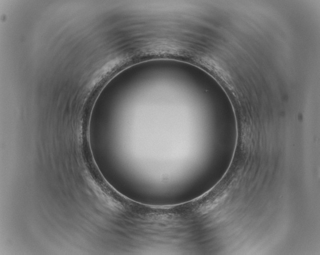 X0000089670629200706211155