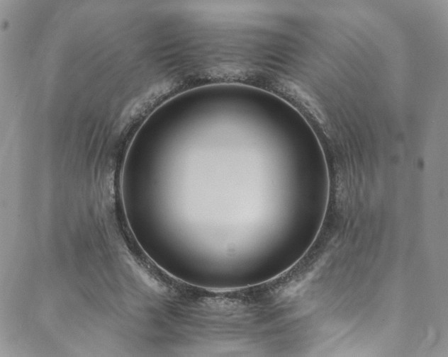 X0000089670633200706211155