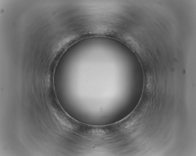 X0000089670636200706211155